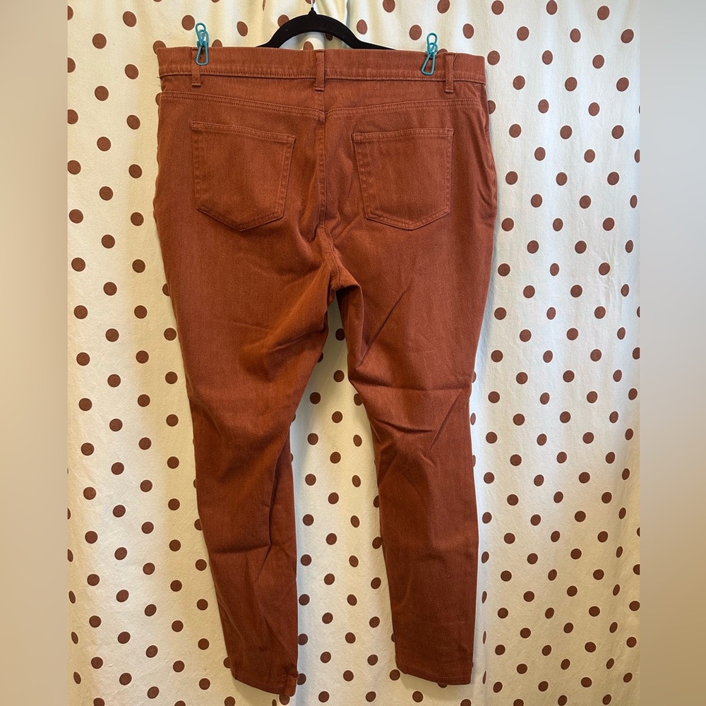 Time and Tru Jeggins, Rust Color, Size XXL (20), Gently Used - Picture 2 of 4